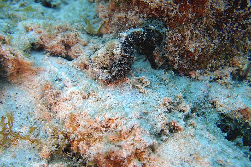 2016-03-26 10-50-37.JPG